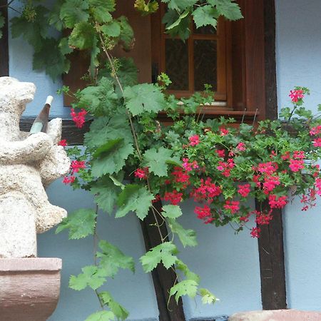 Chambres D'Hotes Ruhlmann Dambach Dış mekan fotoğraf